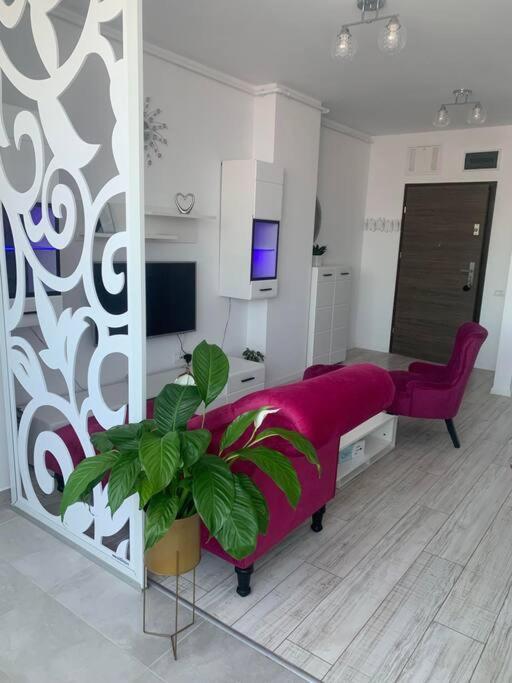 Cool Apartment Тимишоара Экстерьер фото